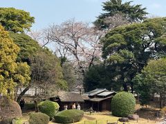 -东京国立博物馆