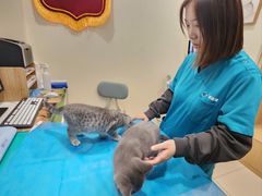 -美迦爱-牙专科·兔科·骨科诊疗中心(北苑店)