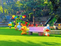 -燕塞湖鸟语林景区