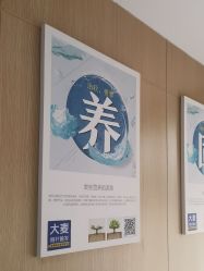 -大麦微针植发丨全国连锁