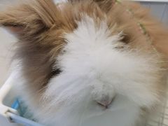 -怪兽屋·羊驼·猫咖·狗咖(俊华广场店)