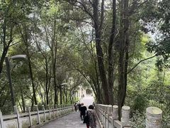 -成都老君山