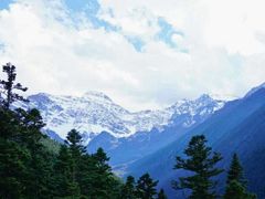 -黄龙山原始森林景区