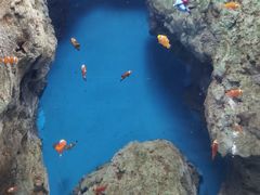-福州罗源湾海洋世界旅游区
