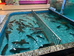 -喜悦海鲜大酒楼(钱柜广场店)