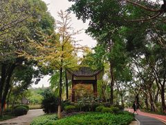 -大渡口区义渡公园