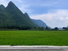 -万峰林风景区