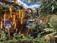 -正佳雨林生态植物园
