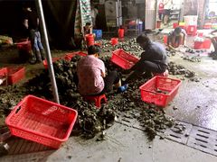 门面-蚝专家(北滘店)