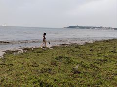 -青岛第三海水浴场