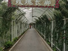 -太阳宫公园