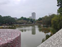 -金砂公园