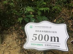 -广州市流溪河国家森林公园