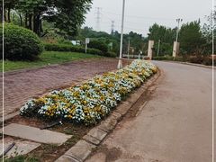 -紫颐香薰山谷景区