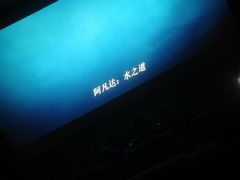 -百丽宫影城(CGS激光苏宁广场店)