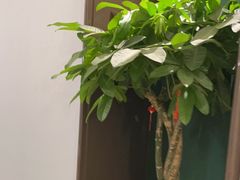 -东荟轩