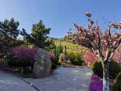 -石岛赤山风景区