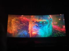 -幸福蓝海国际影城(河西店)