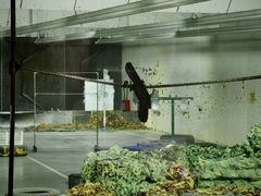 -中安射击运动俱乐部