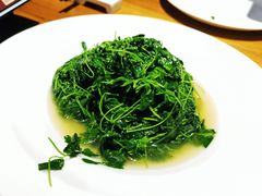 -金枝玉叶上海人家食府(三里河店)