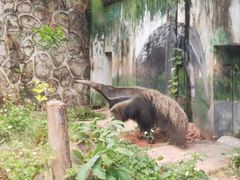 -深圳野生动物园