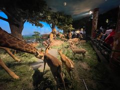 -国家自然博物馆