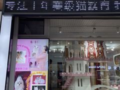 -青奢宠物·青奢猫舍