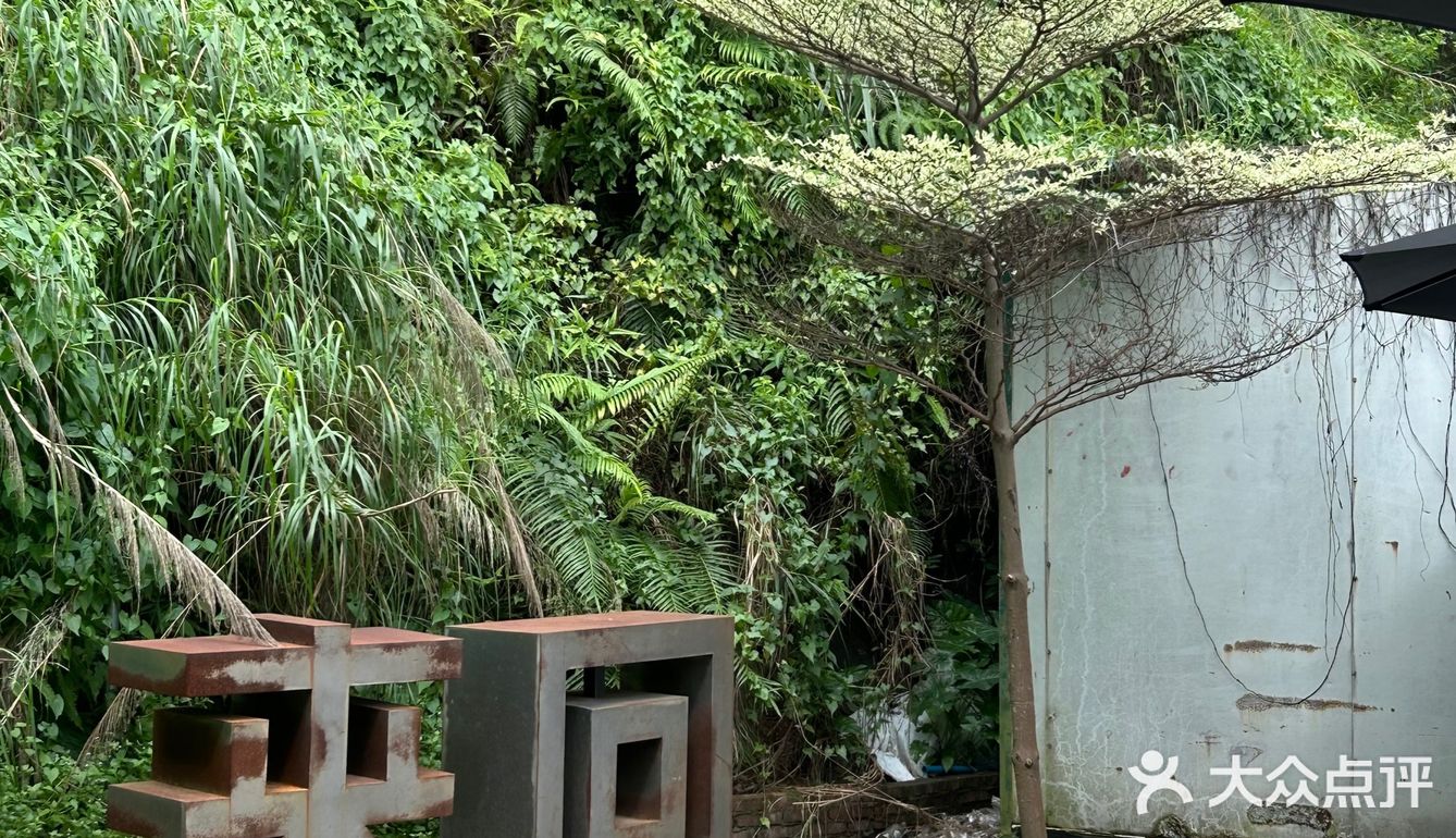 杯中藏着的小绿精灵