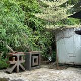 杯中藏着的小绿精灵