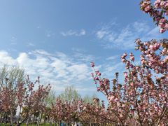 -上海山野camping·户外天幕烧烤·团建拓展营地