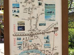 导游图-沙坡头旅游度假区