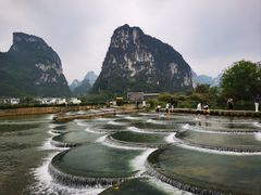 -明仕田园