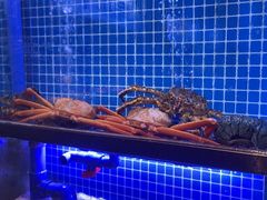 -驻海渔市(置信店)