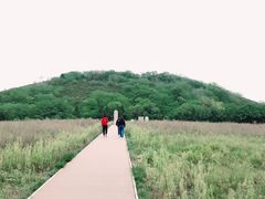 -汉景帝阳陵博物院