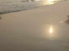 -贝壳沙滩