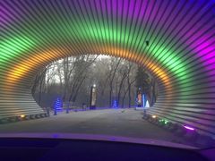 -枫花园汽车电影院(朝阳公园店)