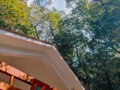 -火炉山森林公园