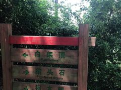 -火炉山森林公园