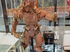 -上海崇明金茂凯悦酒店