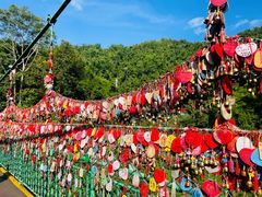 -西双版纳原始森林公园