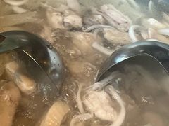 -润园四季椰子鸡火锅(海上世界店)
