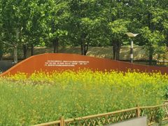 -BHG生活超市(安贞店)