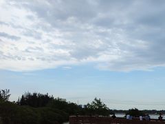 -宝安西湾红树林湿地公园