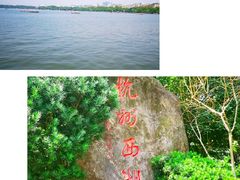 -西湖游船