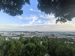 -府君山公园
