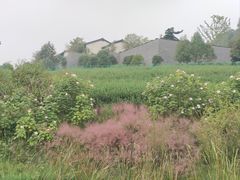 -雅达·阳羡溪山小镇中心