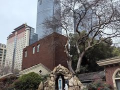 -徐家汇天主堂