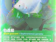 -重庆欢乐海底世界
