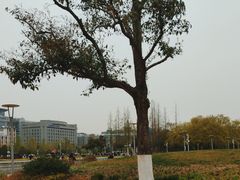 -泉城广场