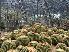 -深圳仙湖植物园